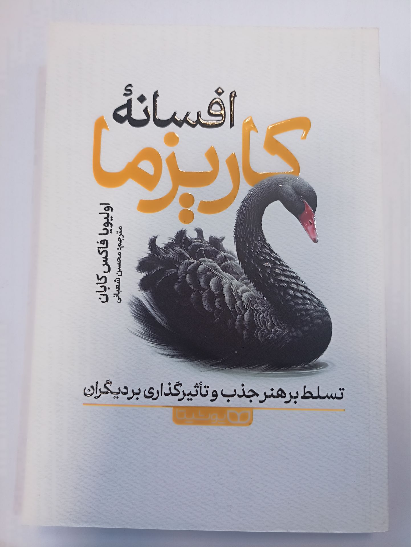 کتاب افسانهٔ کاریزما